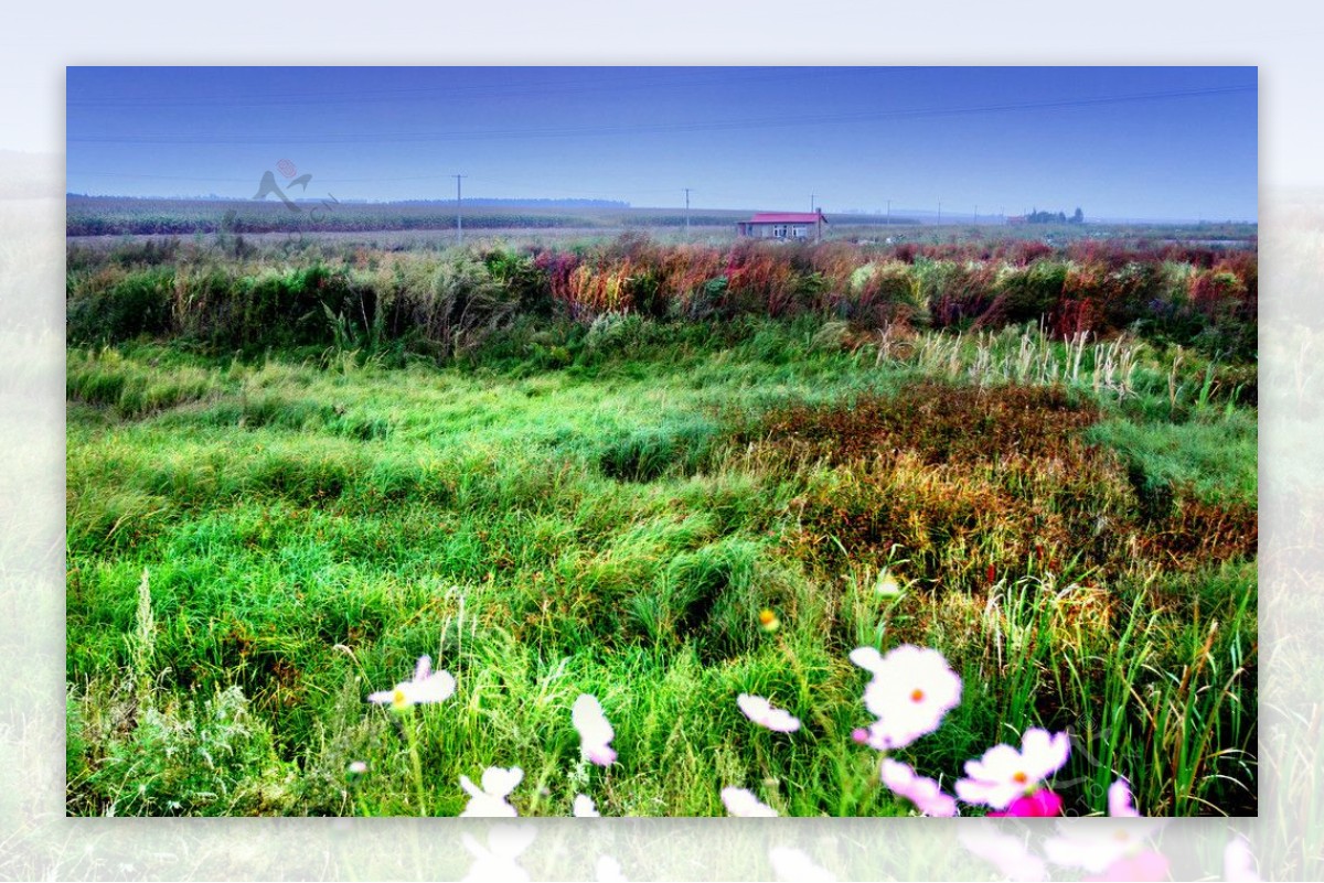 海伦农场湿地图片