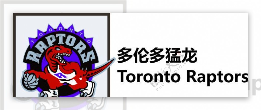 多伦多猛龙TorontoRaptors图片