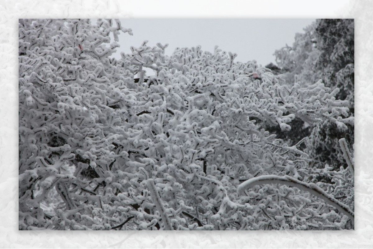 雪山风景图片