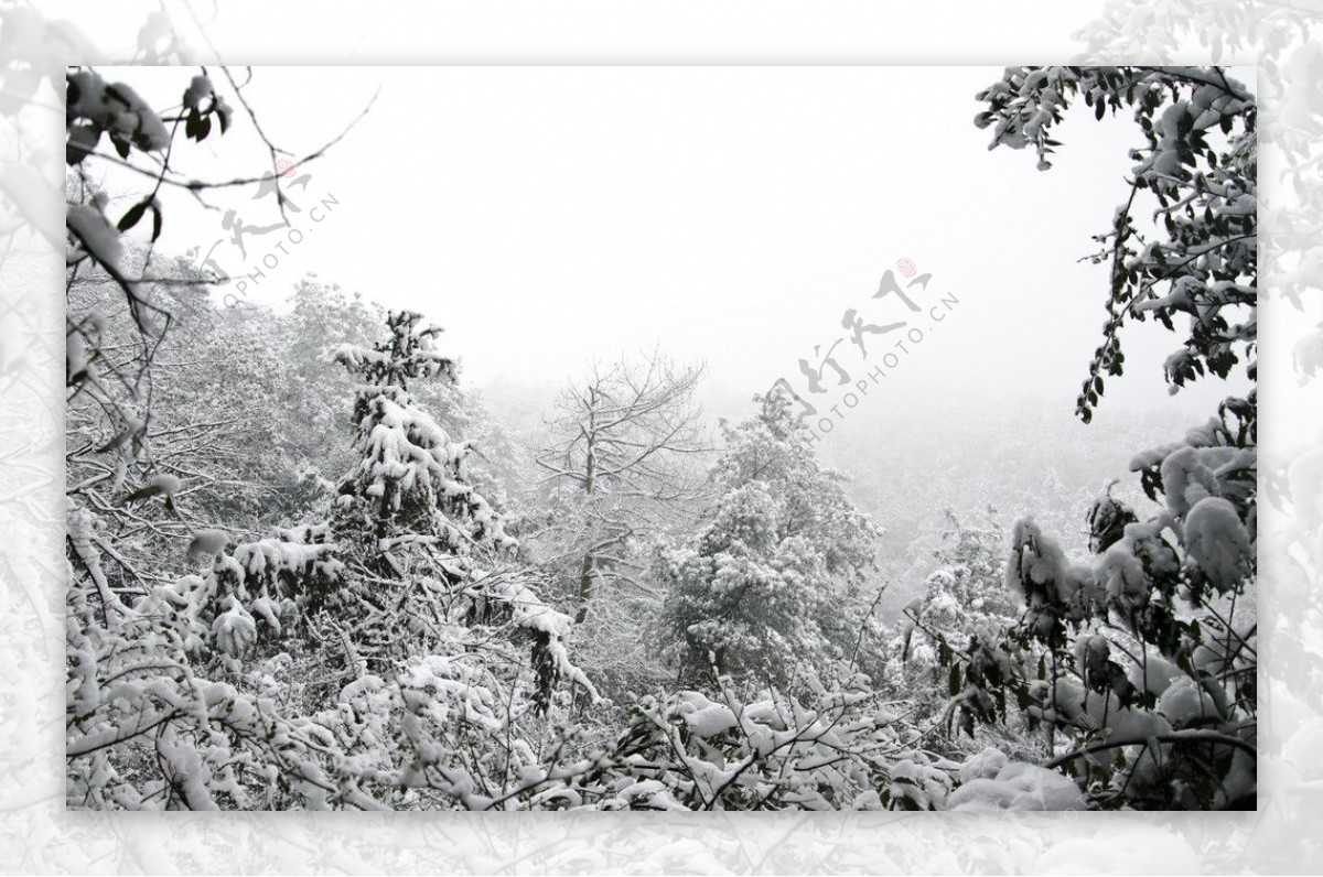 雪景图片