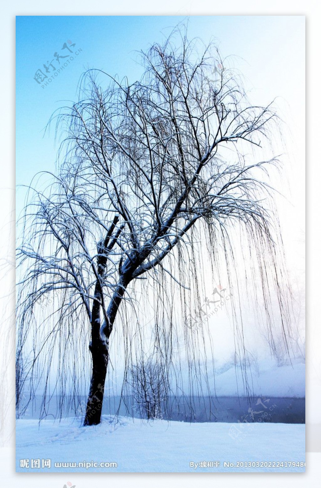 雪景图片