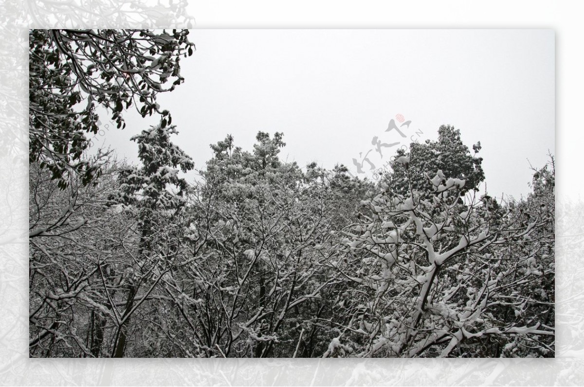 雪景图片