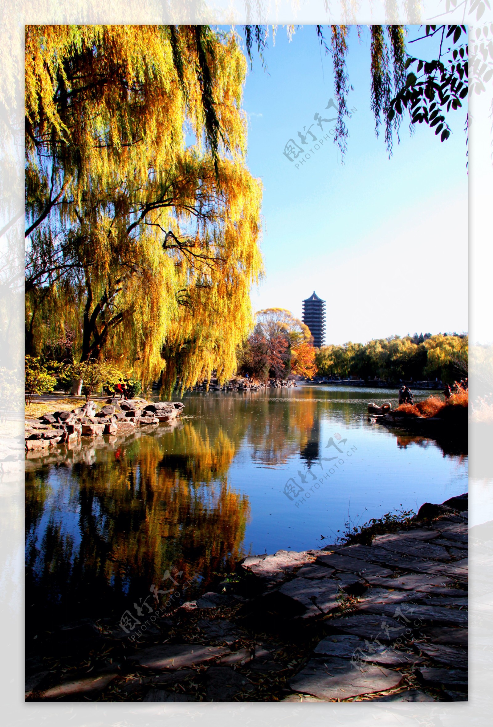 北京大学未名湖畔图片