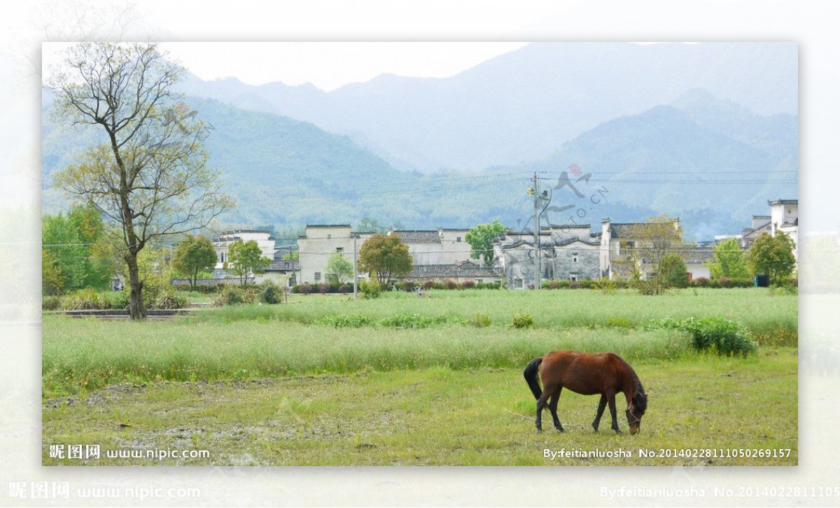 山村图片