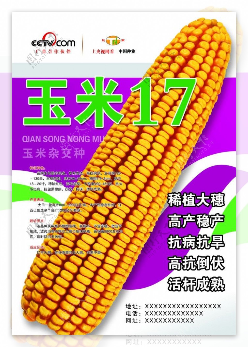 玉米包装广告图片