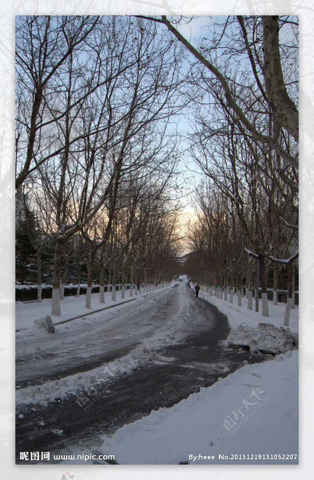 雪后大马路图片