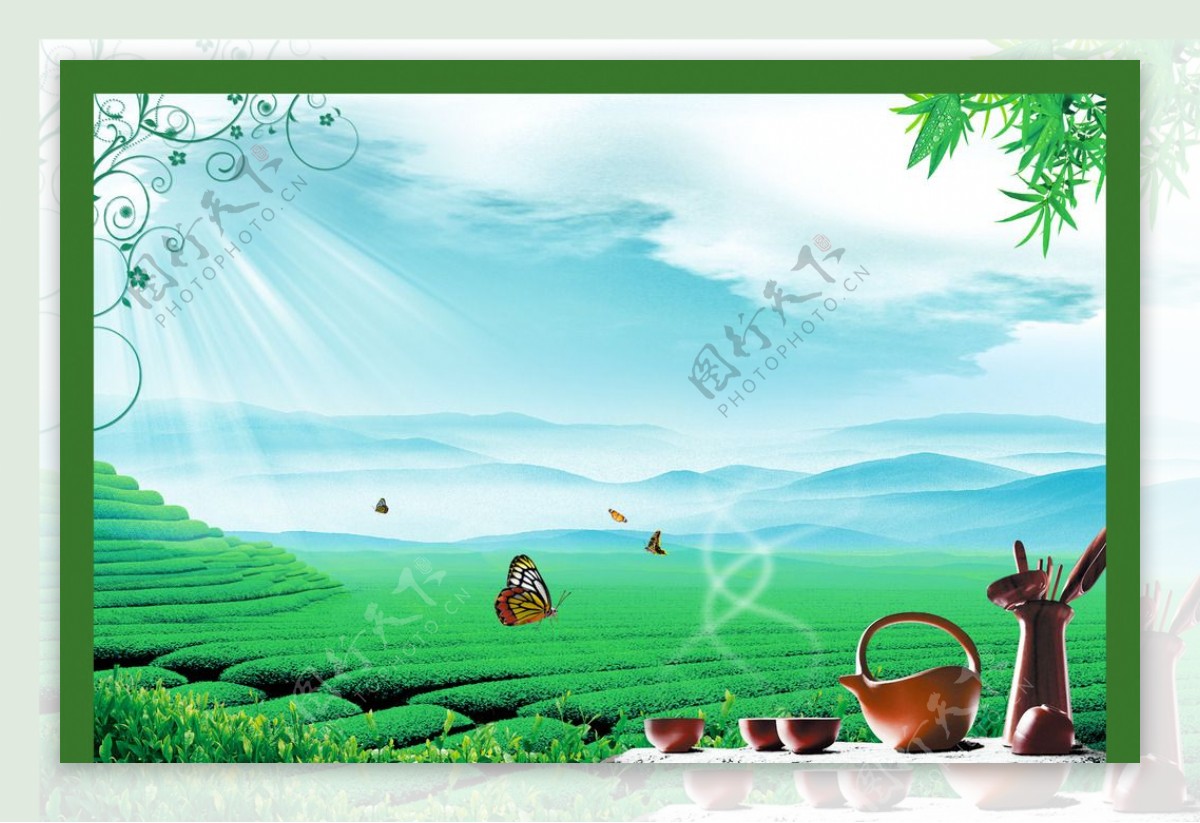 绿色茶园分层背景图片