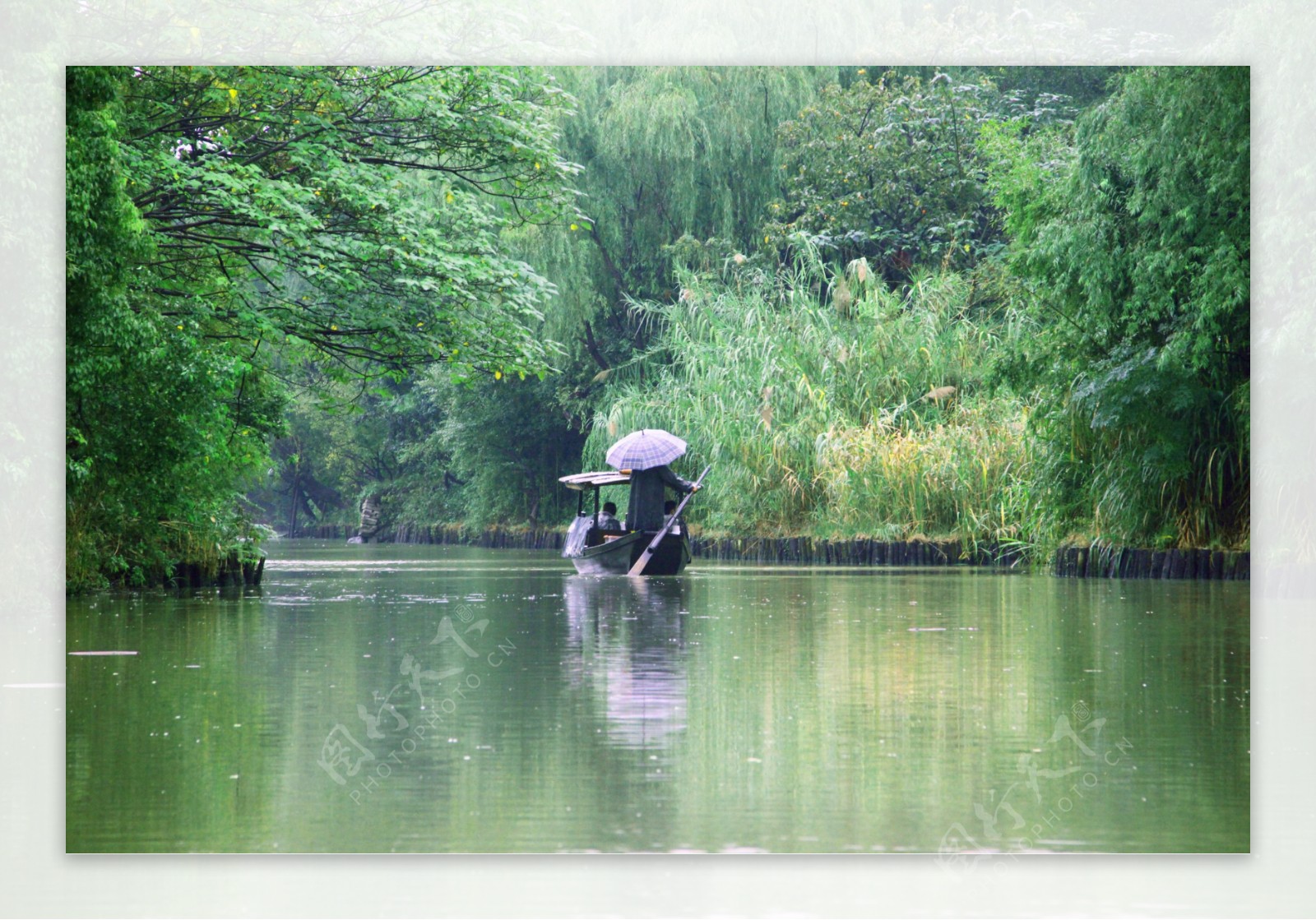 西溪湿地之雨中划船图片