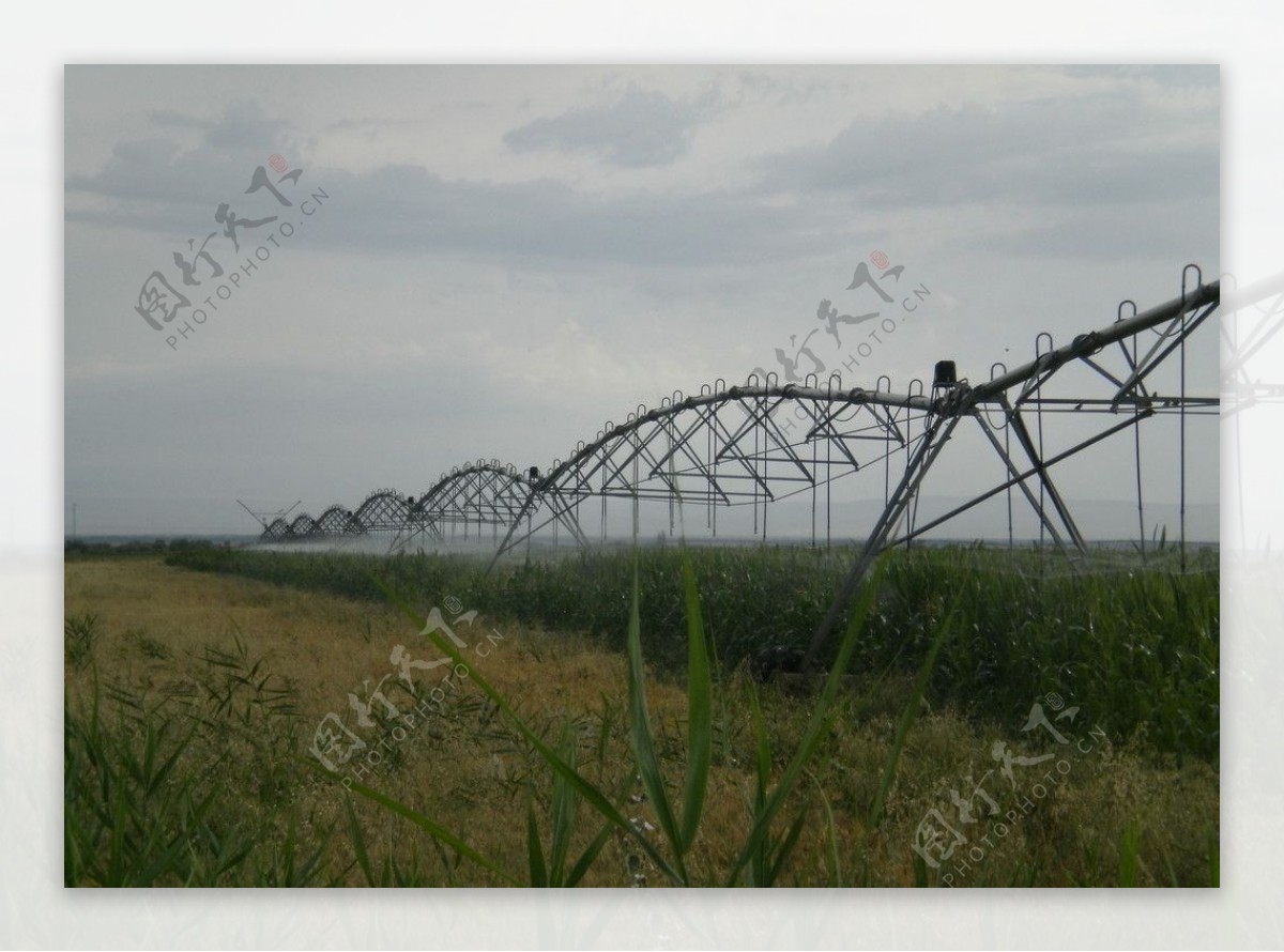 滴灌田园灌溉图片