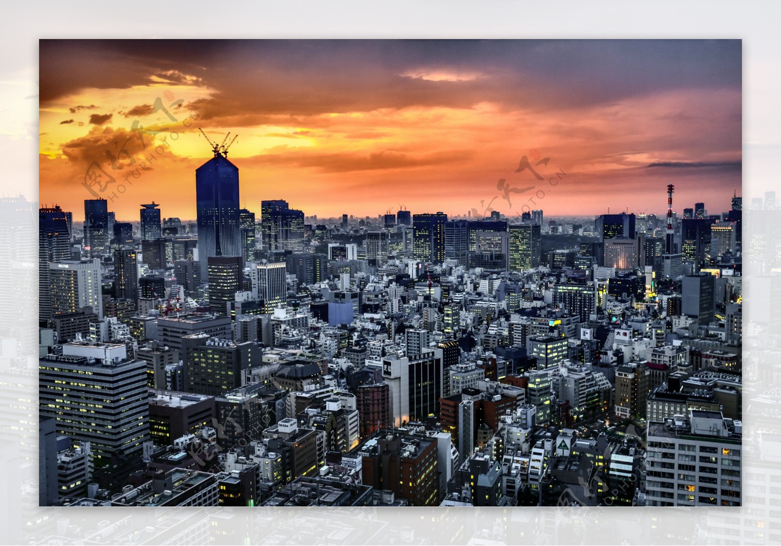 东京城市俯瞰摄影图片