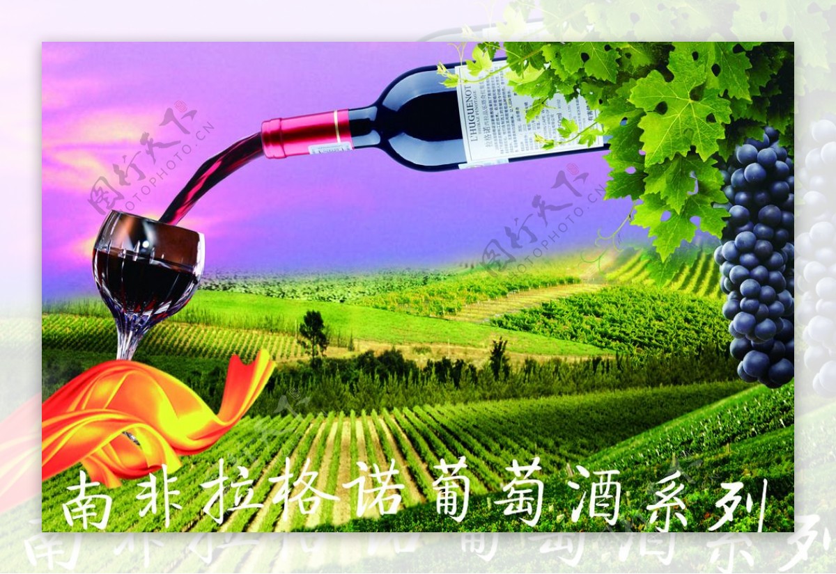 拉格诺葡萄酒海报图片