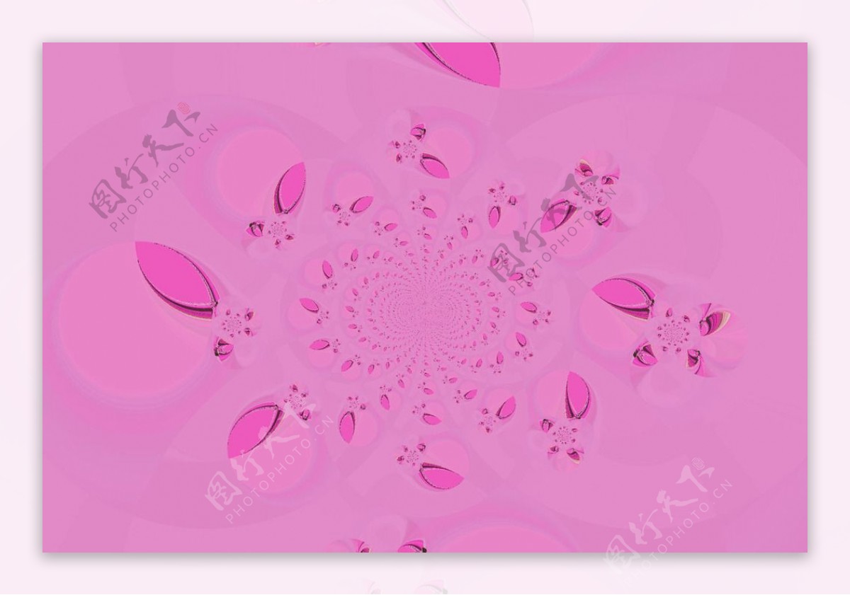 粉红色的花瓣图片