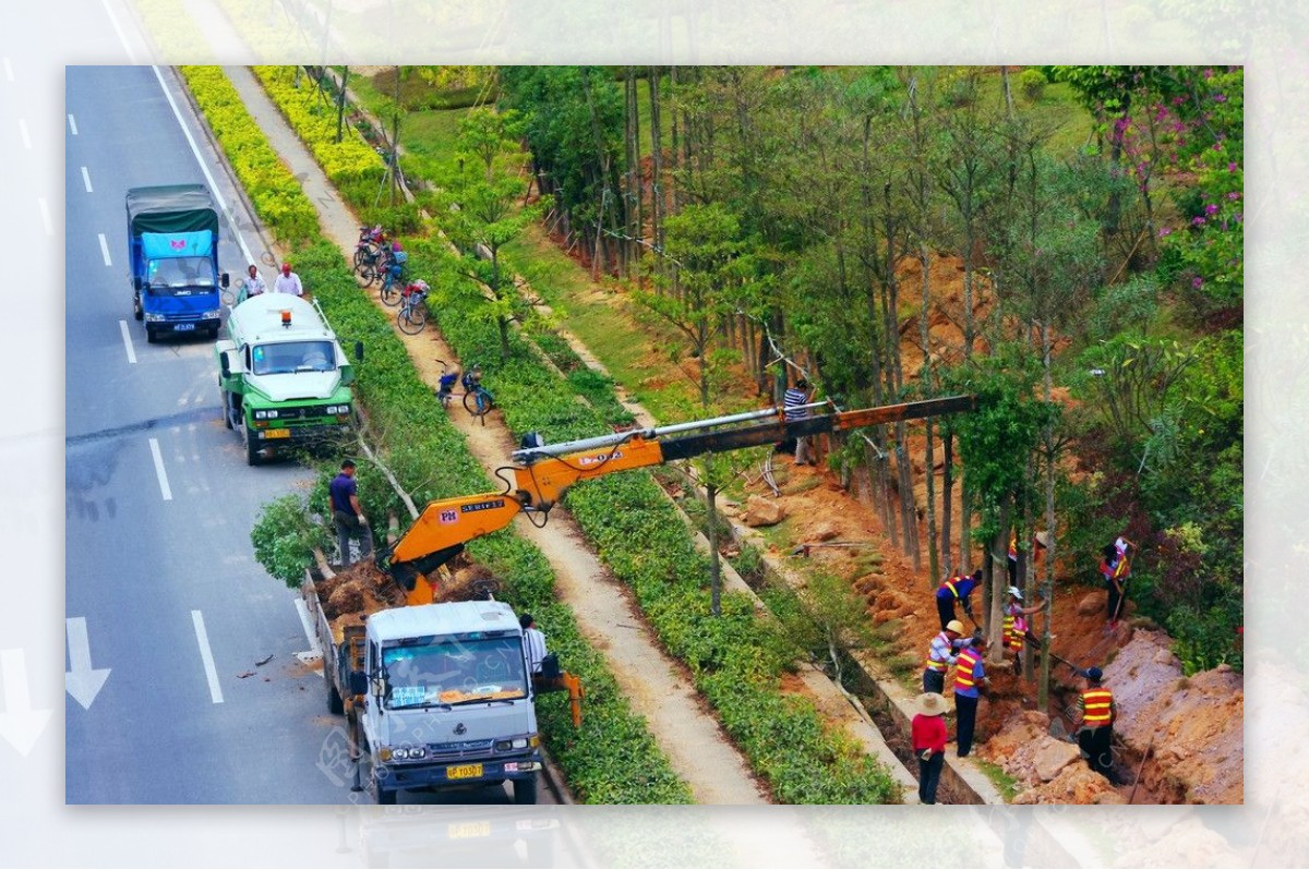 交通建设道路绿化图片