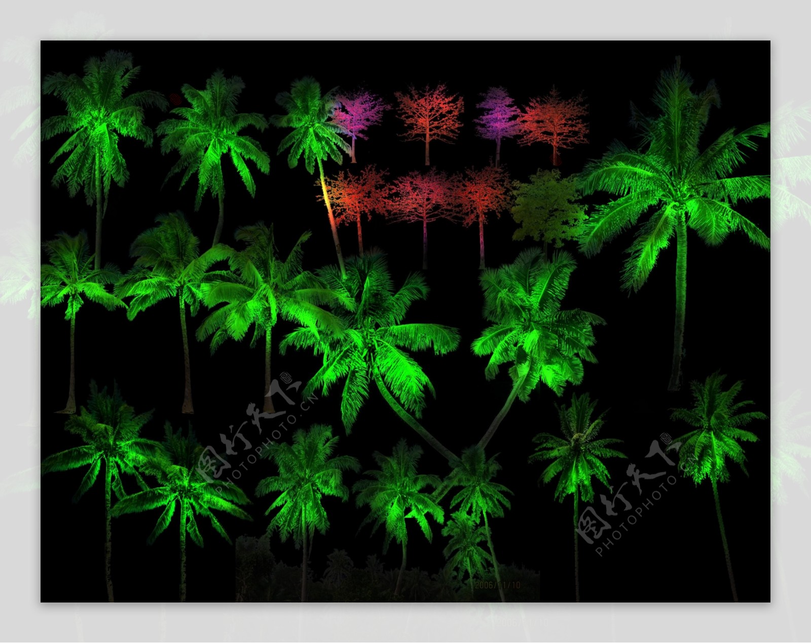 椰子树亮化图片