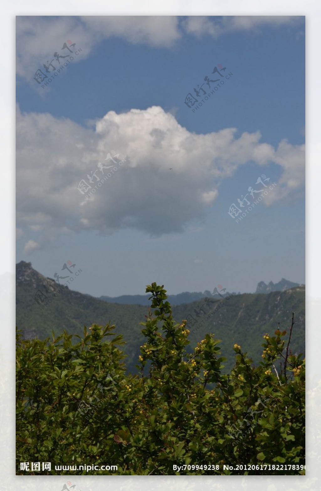 沣峪分水岭图片