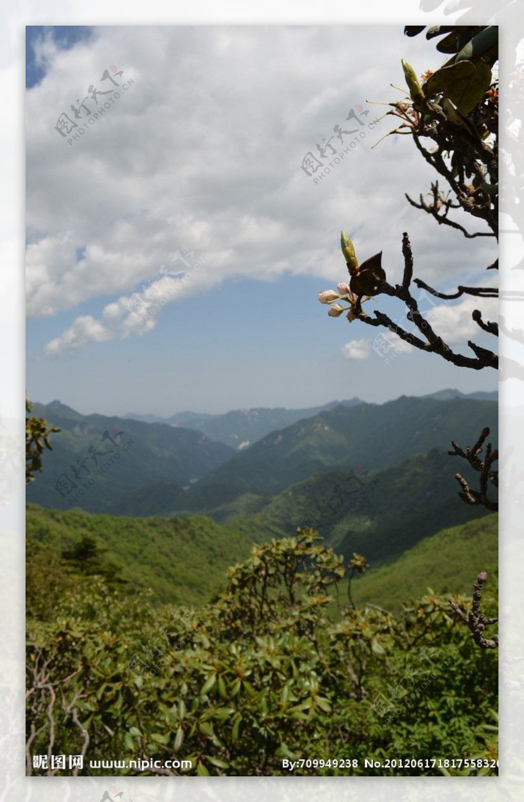 沣峪分水岭图片