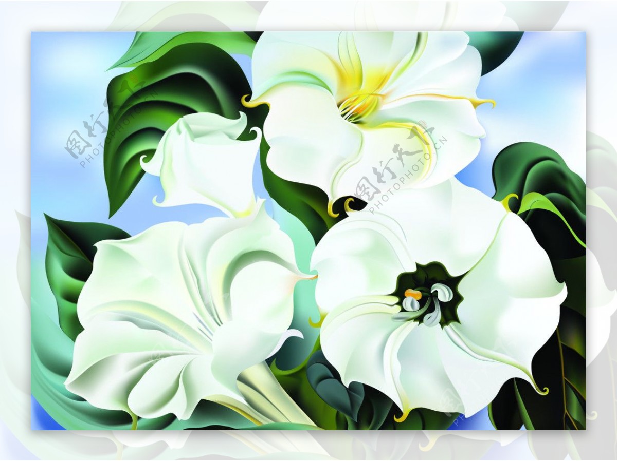 乔治亚艾琪芙的花卉图片