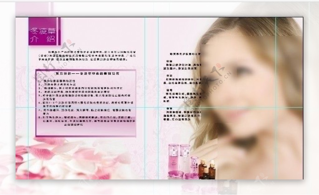 化妆品画册图片