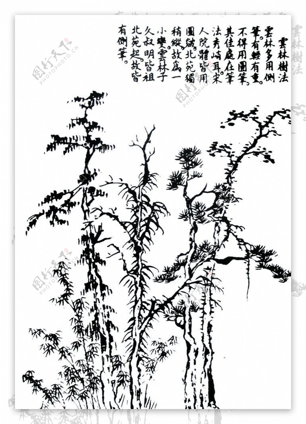 芥子园画谱图片