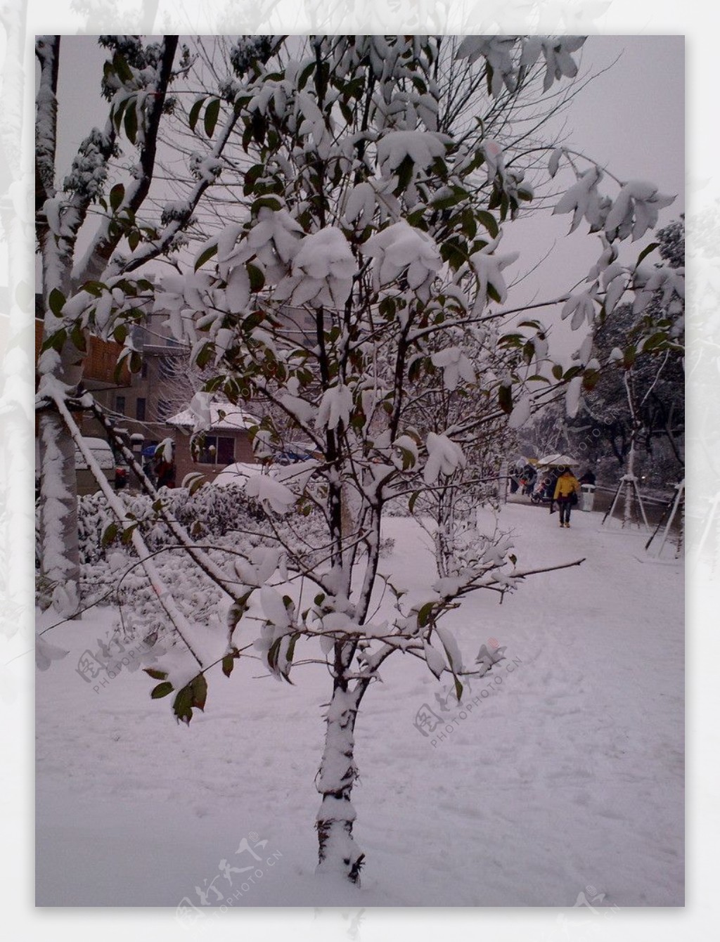 雪景图片