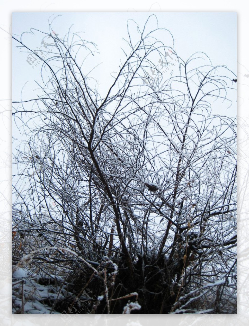 乡村雪景图片