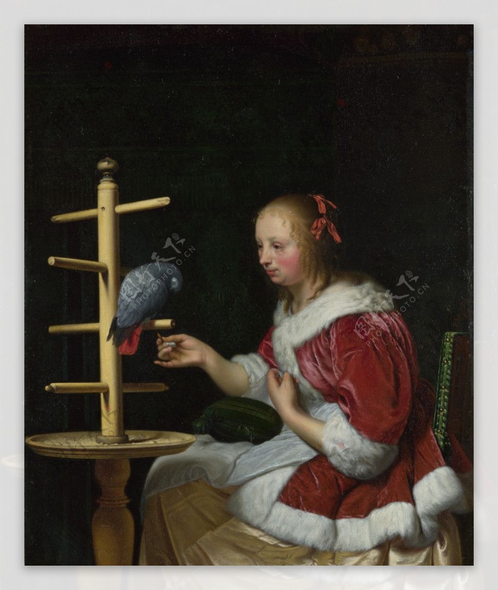 女人饲养一只鹦鹉图片