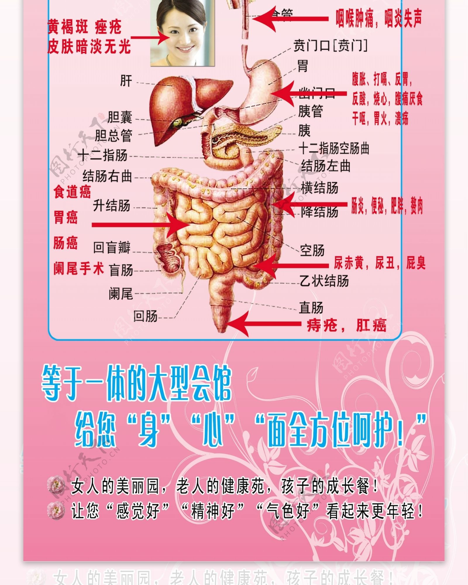 清肠排毒图片