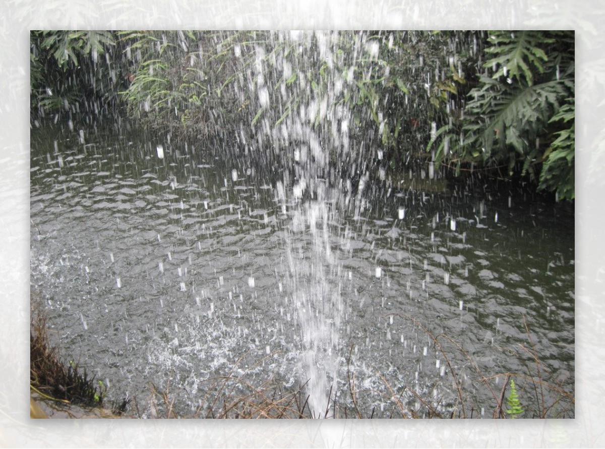 水花四射图片