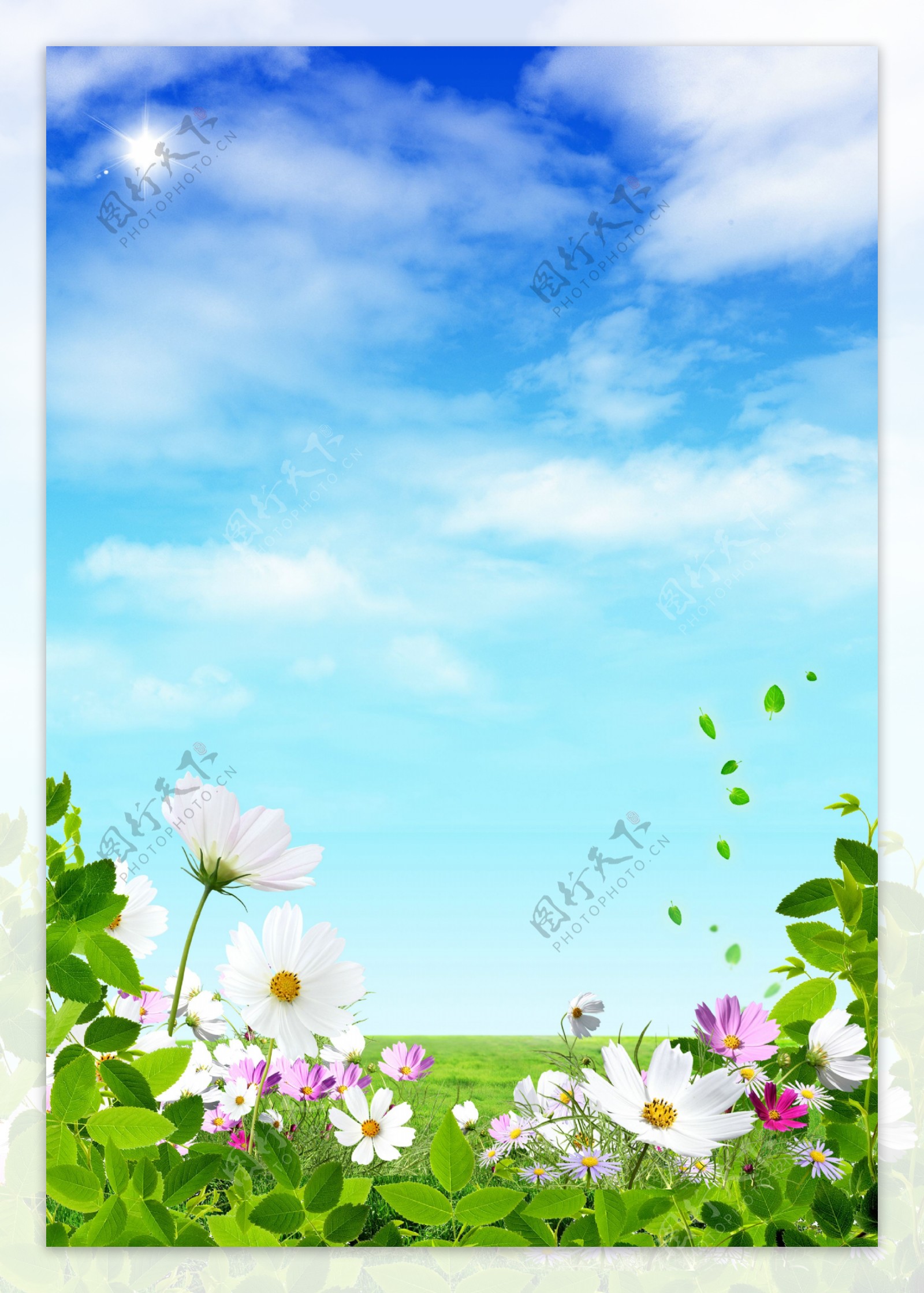 蓝天白云草地鲜花图片