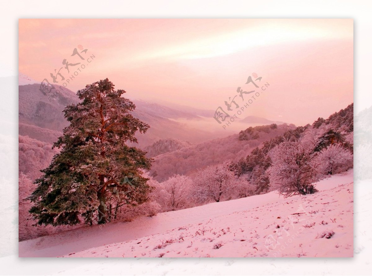 日落下的山坡雪景图片