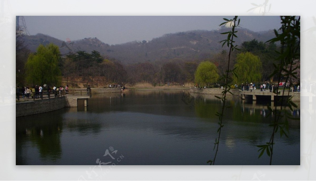 青岛中山公园图片