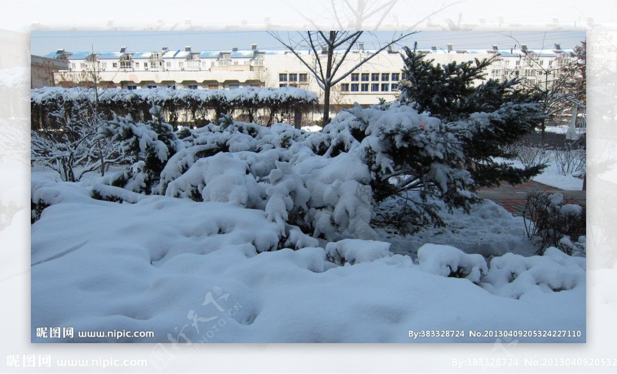 东北雪景图片