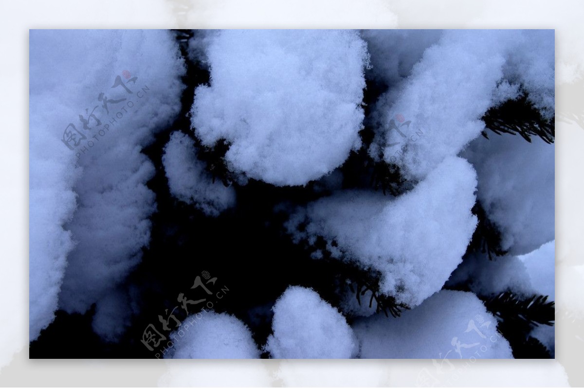 雪后图片