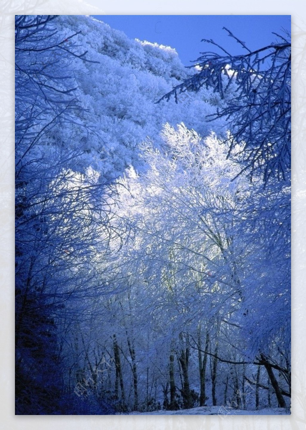 冰雪世界雪山风景图片