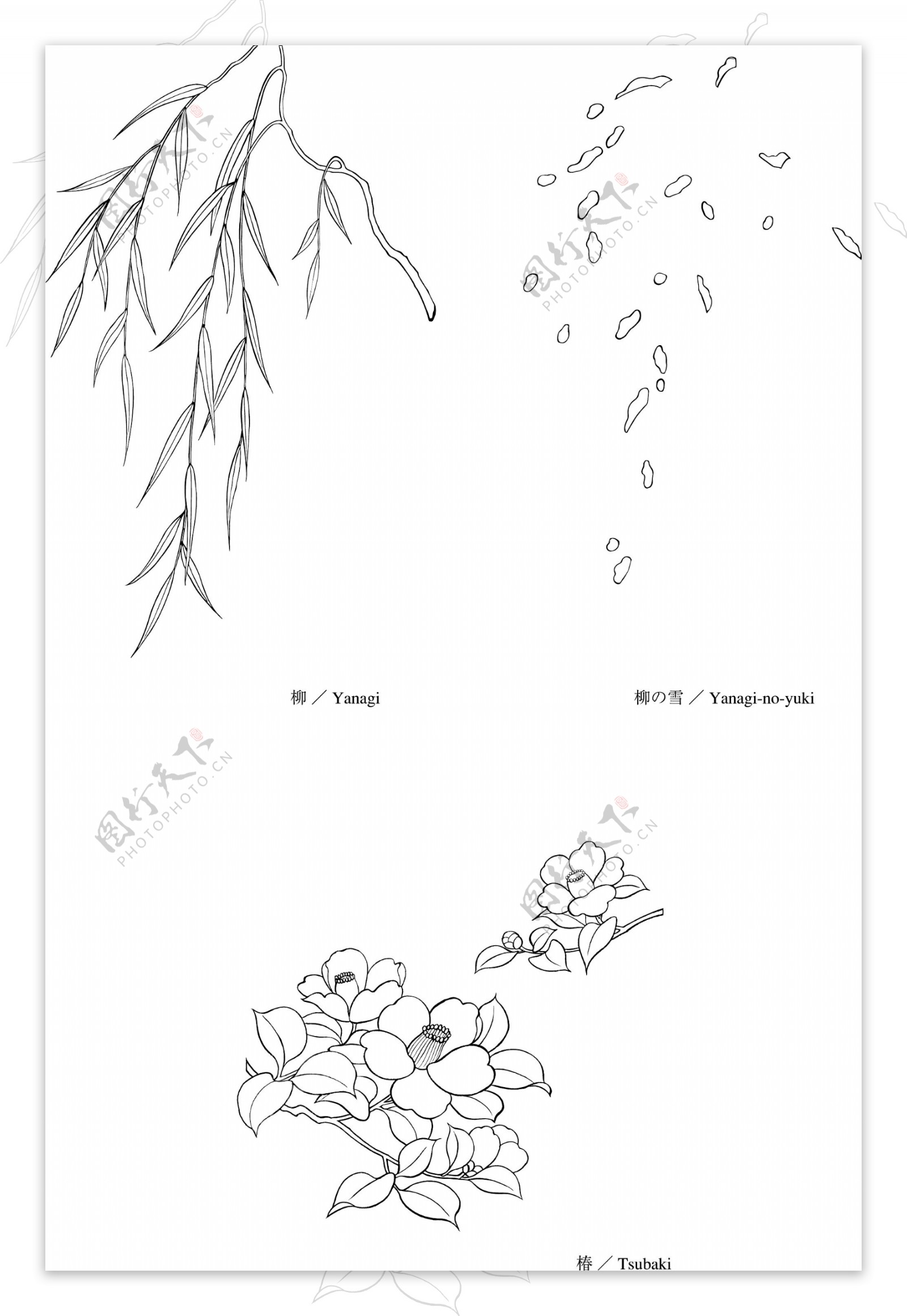 柳树和雪图片