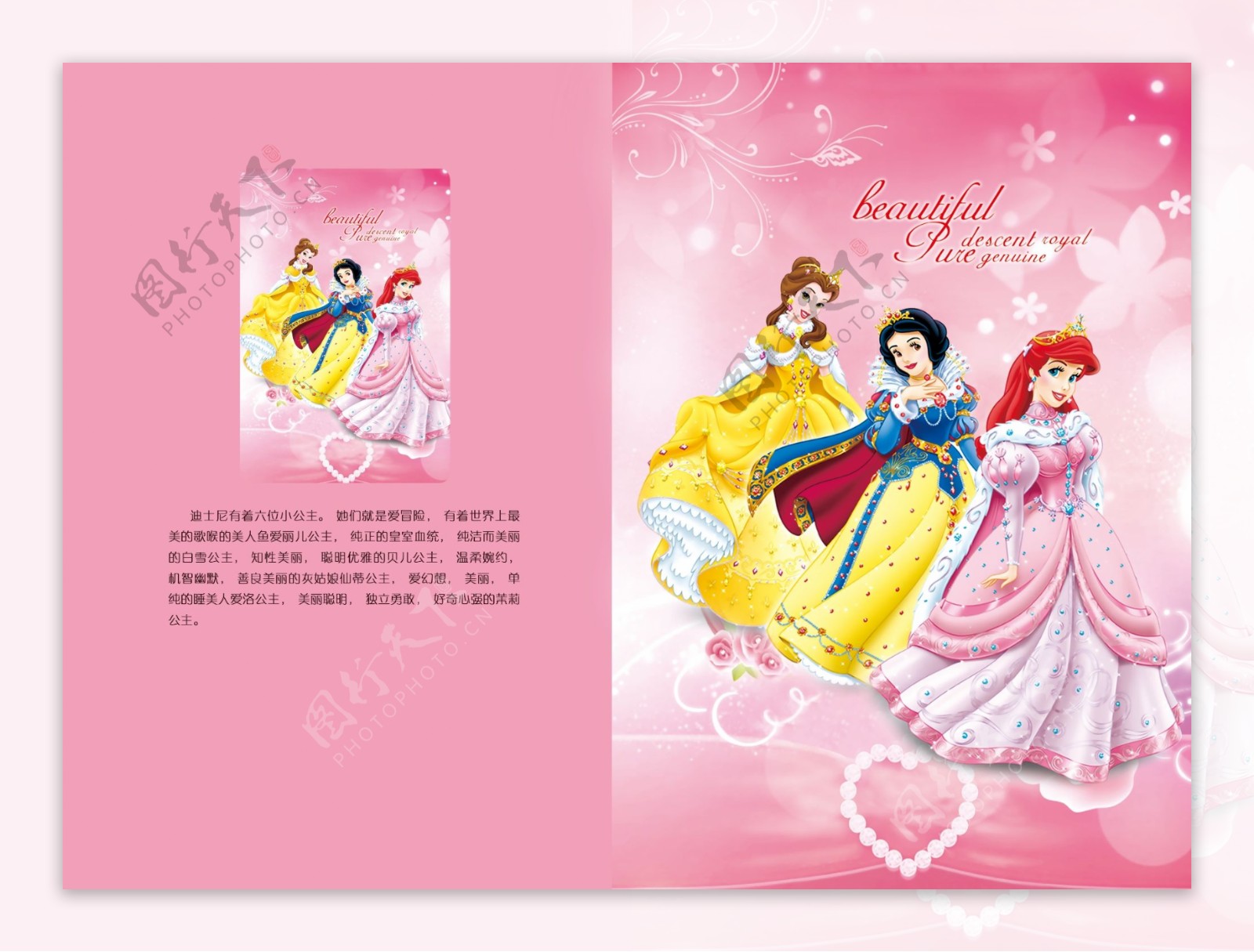 迪士尼公主彩页封面图片