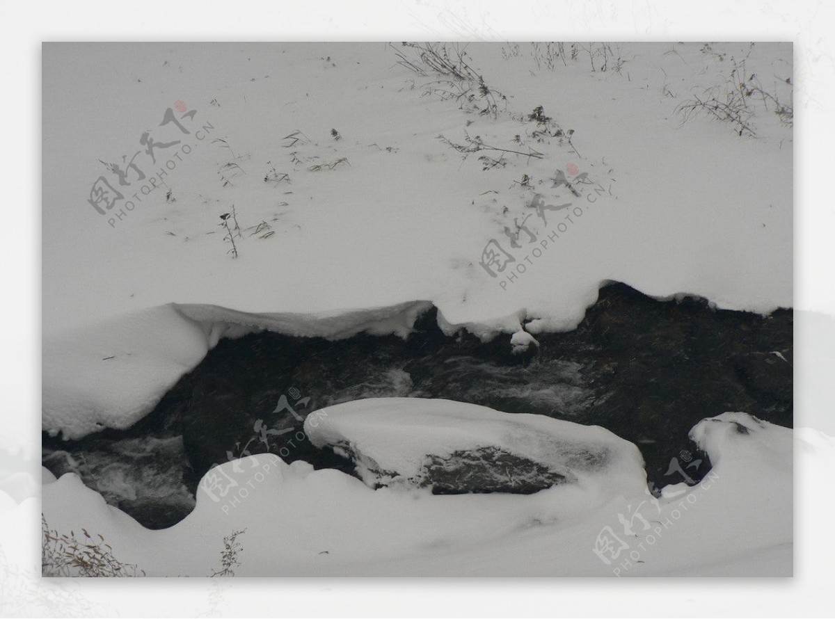 雪中小溪图片