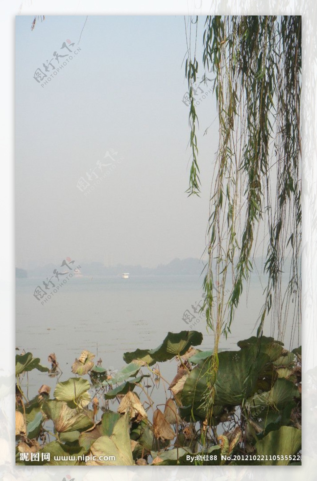玄武湖图片