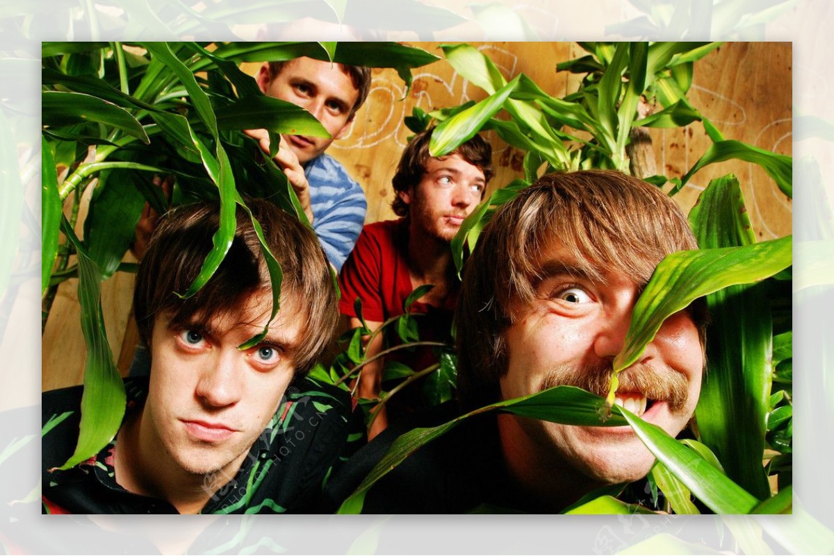 在丛林中傻笑新的EP乐队奥斯汀图片