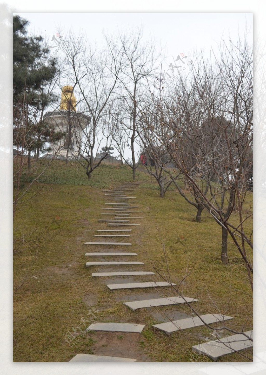 茱萸台远景图片