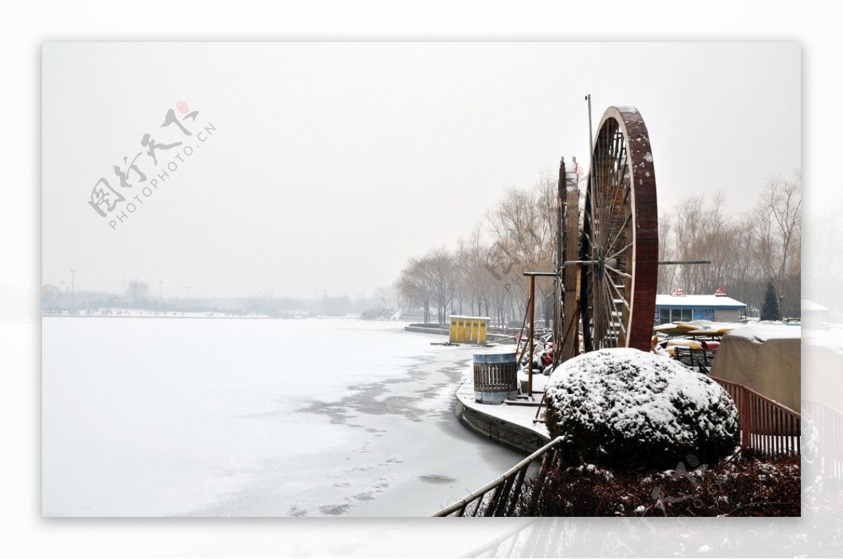 森林公园雪景图片