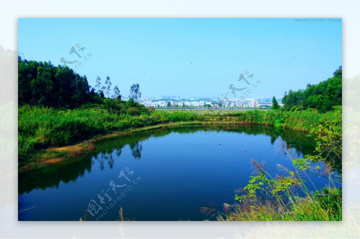 高山水池绿色生态图片