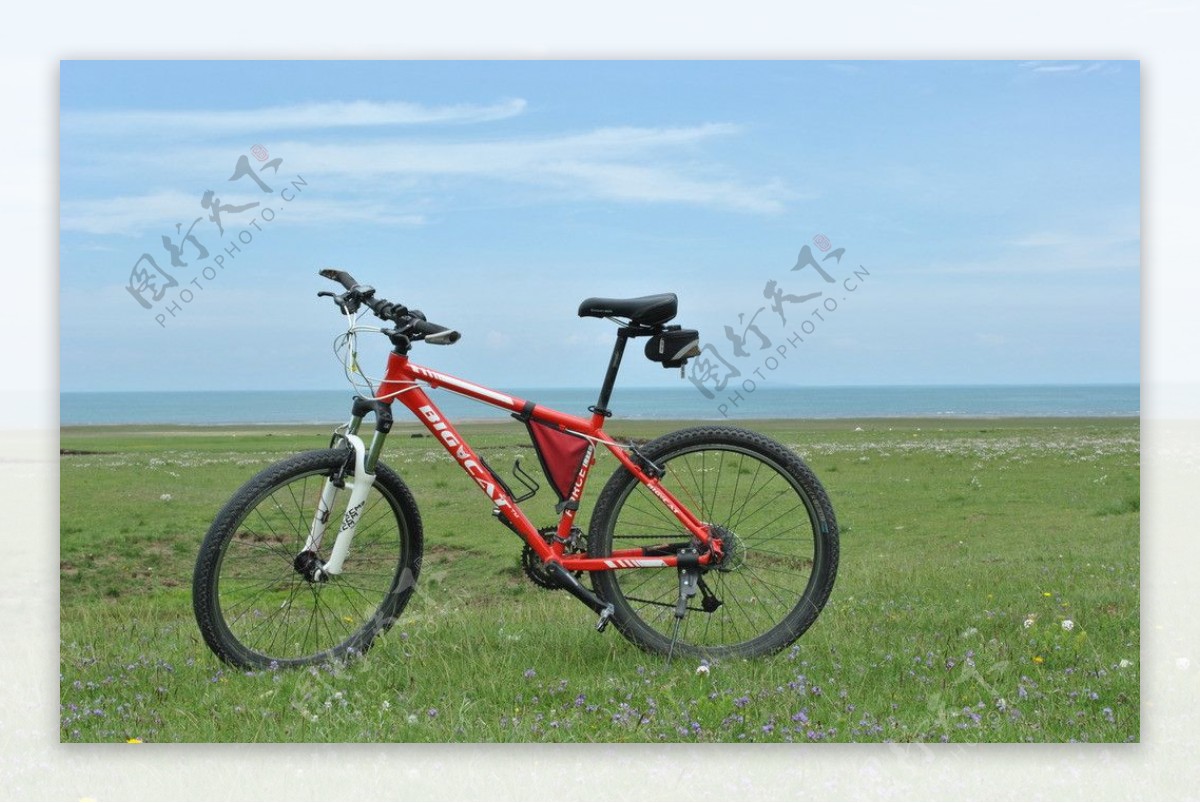 青海湖湖边的单车图片