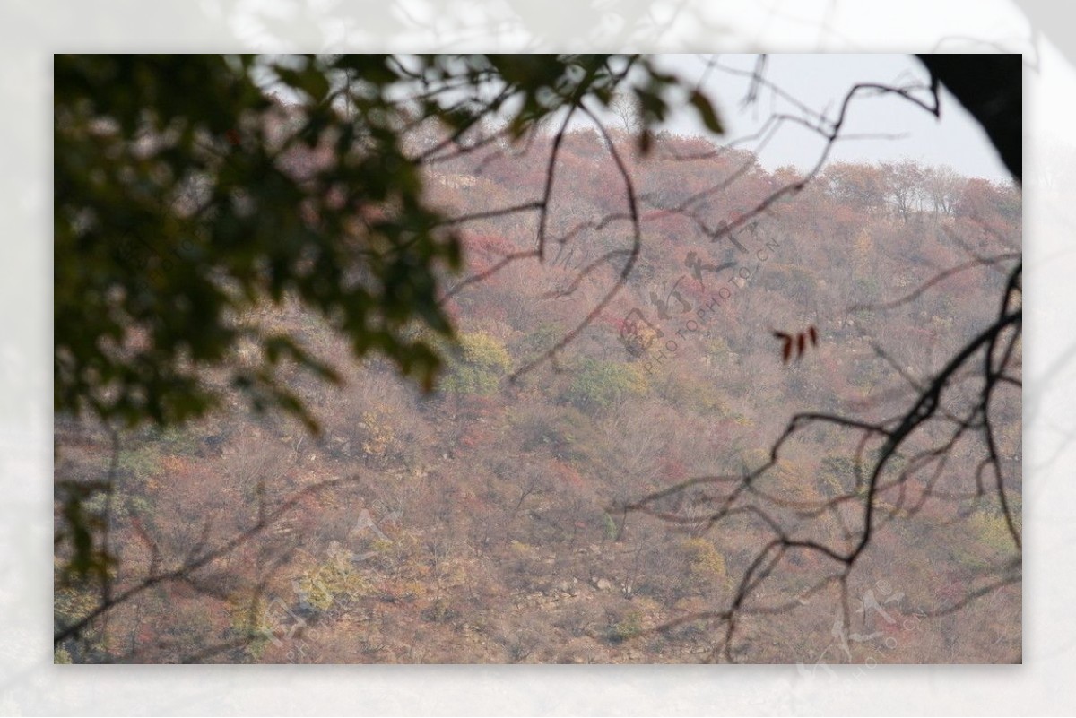 漂亮风景图片