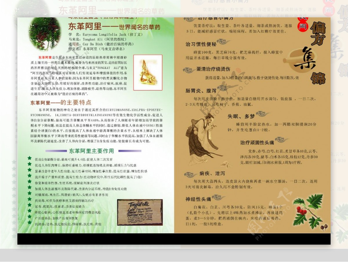 中老年人秋季养生保健手册画册设计图片