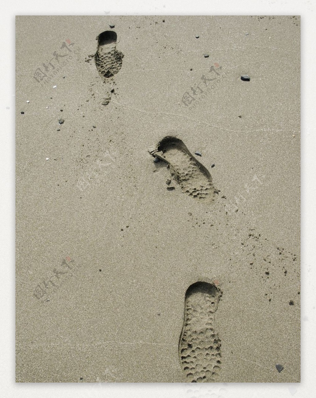 图片素材 : 海滩, 砂, 岩, 叶, 脚印, 脚步, 阴影, 泥, 蓝色, 海龟, 材料 2177x3264 - - 109 - 素材中国 ...