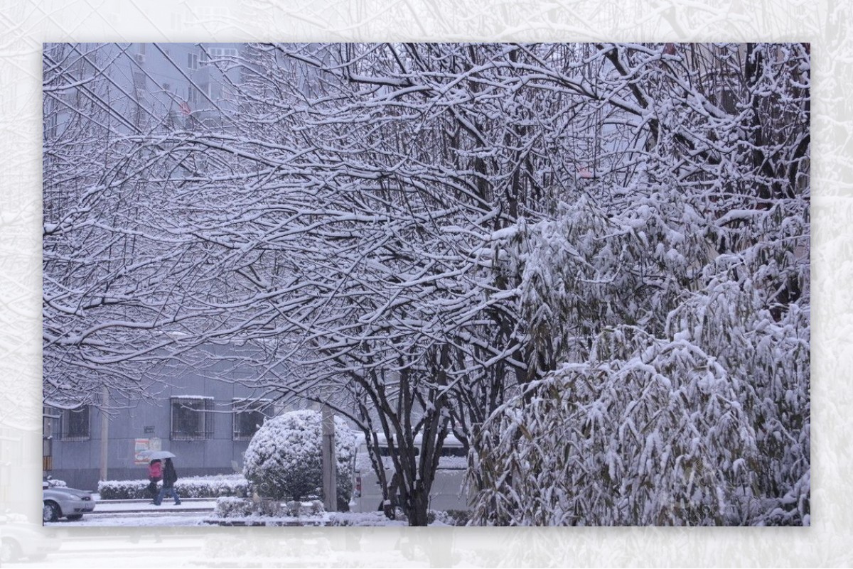 积雪图片