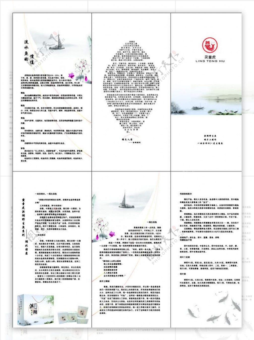 野生鱼三折页图片