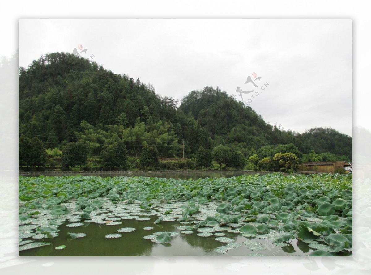 宏村池塘图片