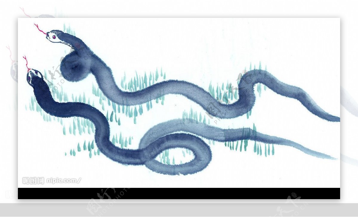 十二生肖蛇水墨画图片